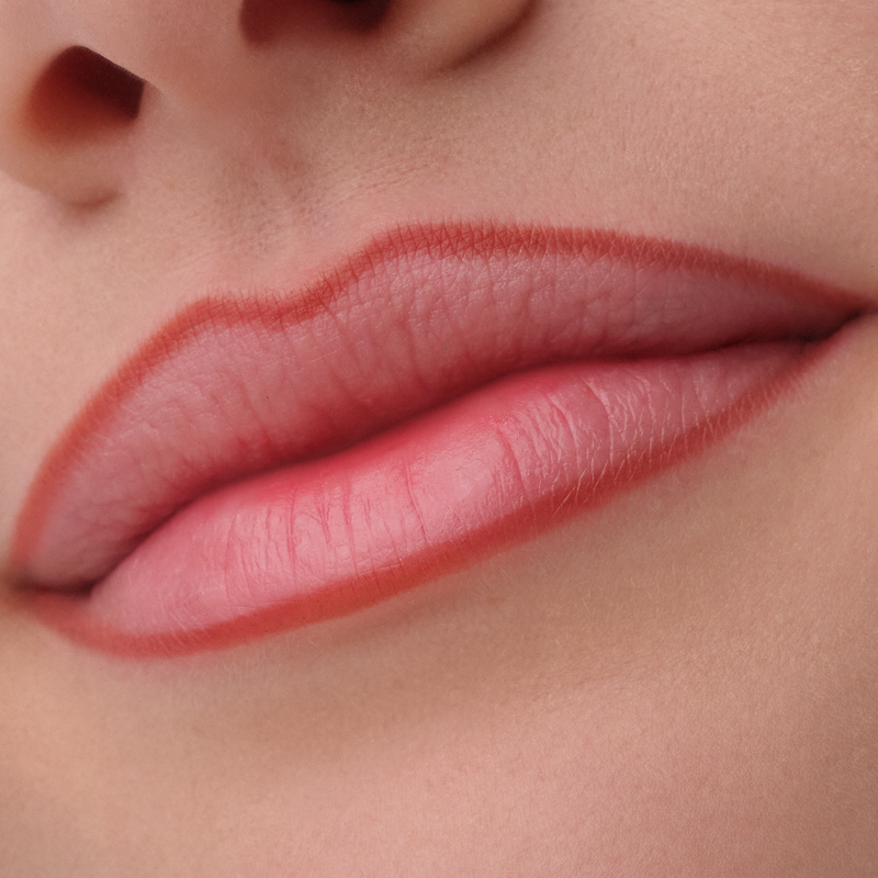 Catrice Precision Ink Lip Liner Stain 020 Never Yours
