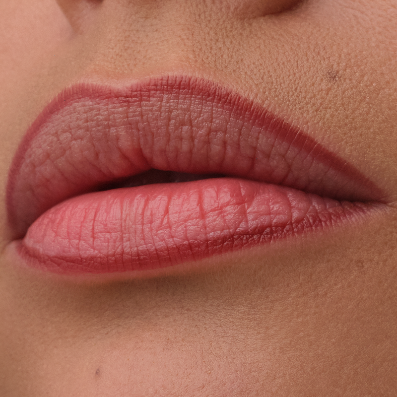 Catrice Precision Ink Lip Liner Stain 030 Over It Anyway