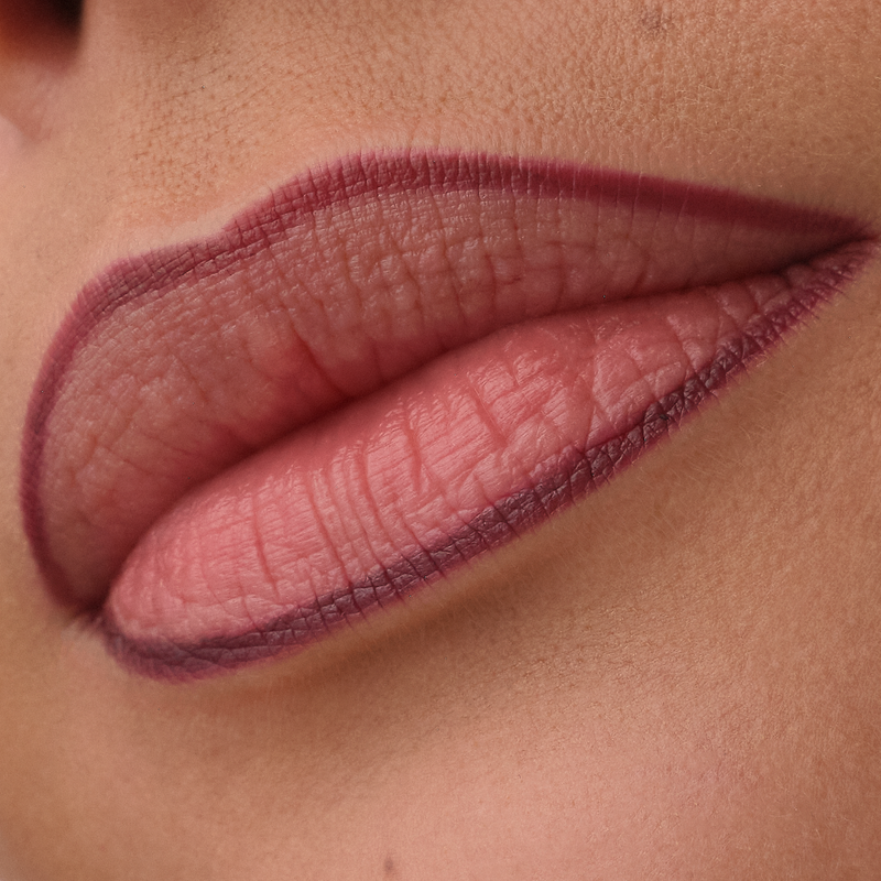Catrice Precision Ink Lip Liner Stain 090 Lasting Touch