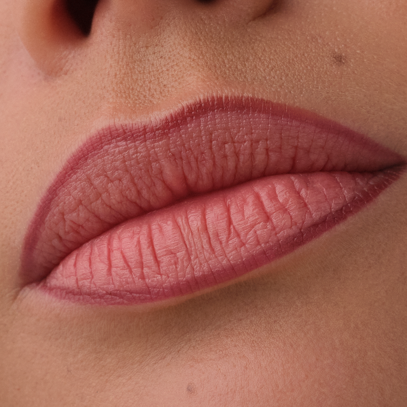 Catrice Precision Ink Lip Liner Stain 010 Hold Tight