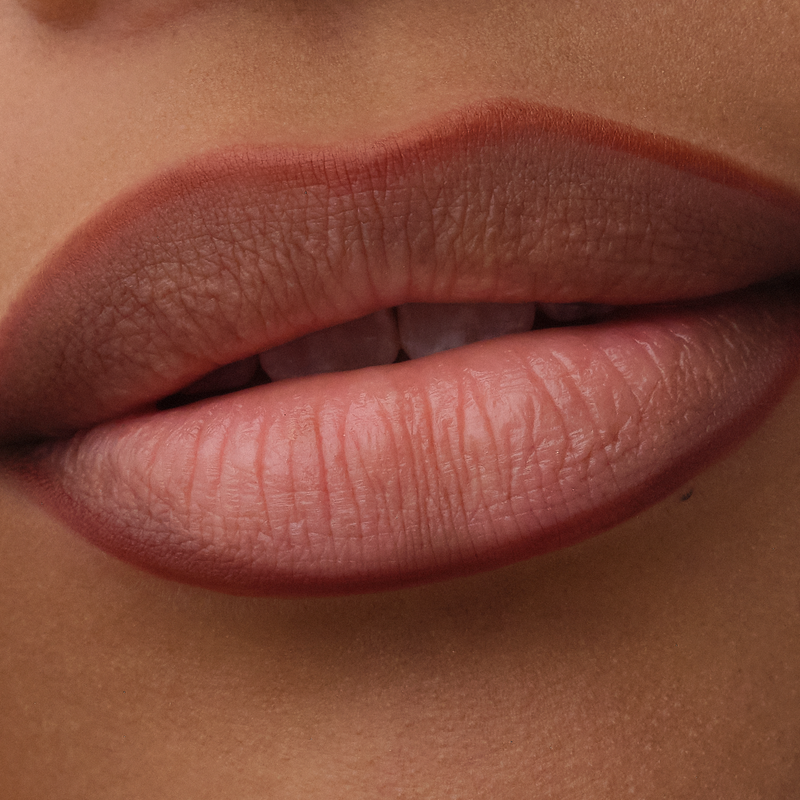 Catrice Precision Ink Lip Liner Stain 030 Over It Anyway