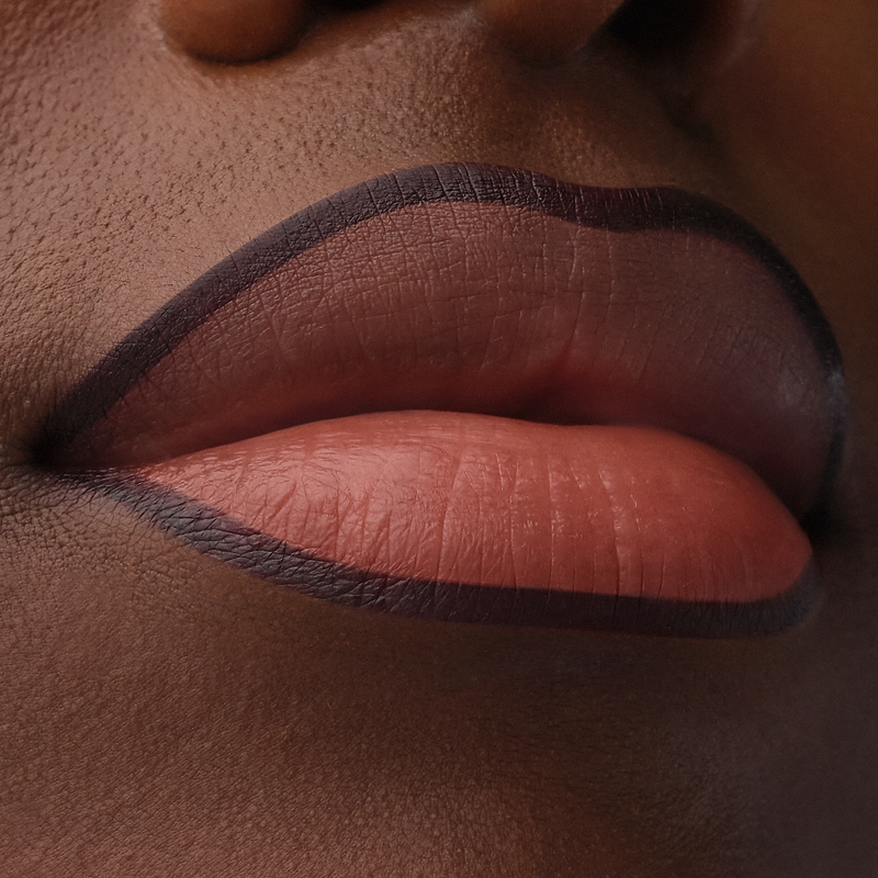 Catrice Precision Ink Lip Liner Stain 100 Hard To Get