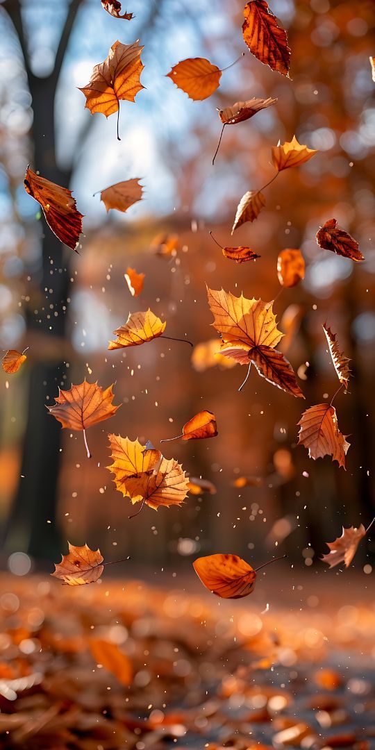 <h2>Fall</h2>