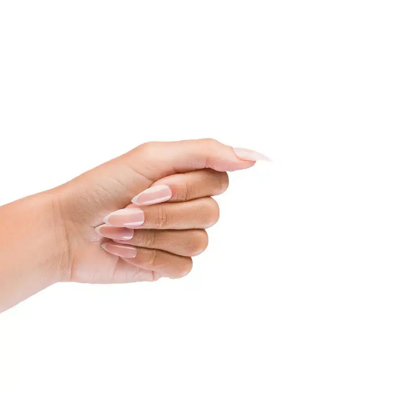 Nail HQ Almond Glossy French Nails