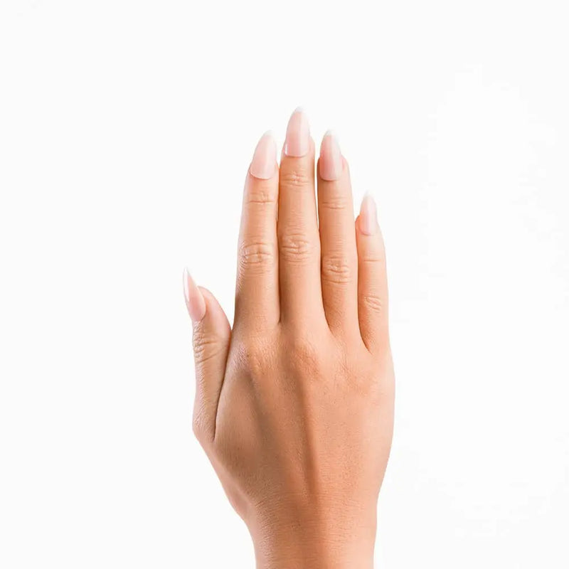 Nail HQ Almond Glossy French Nails
