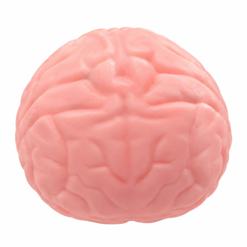 Squishy Brain Squishy XL, extra grote squishy in de vorm van een brein