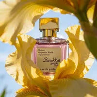 Summer Fragrances