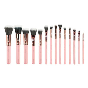 Pink &amp; Rose Gold 14 pc. Starter Set